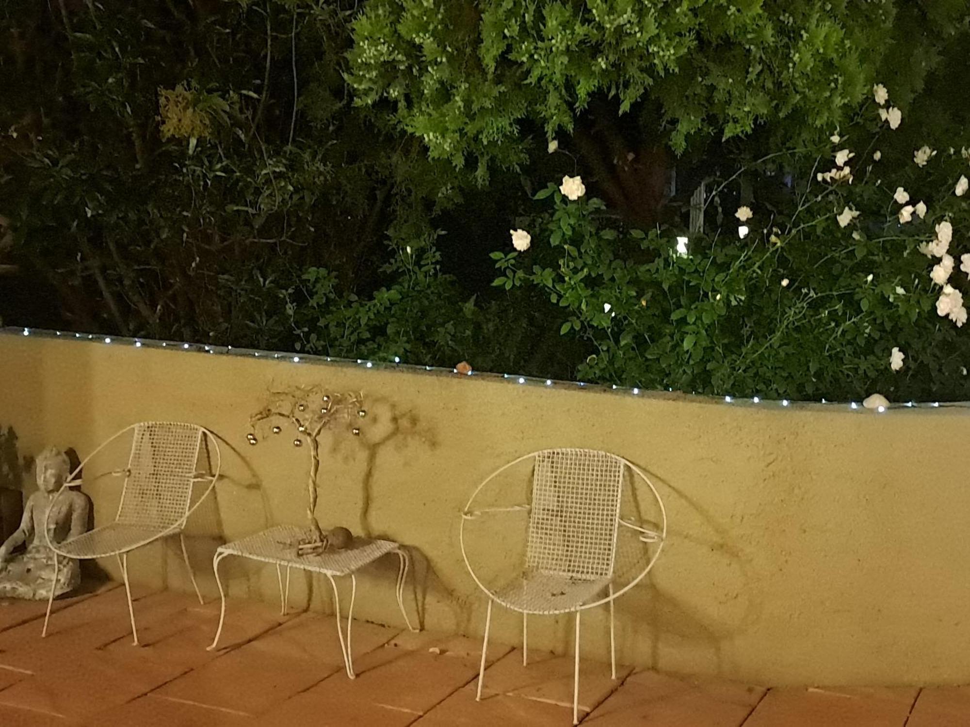 Gabbys Cottage Guesthouse บลูมฟอนเทน ภายนอก รูปภาพ